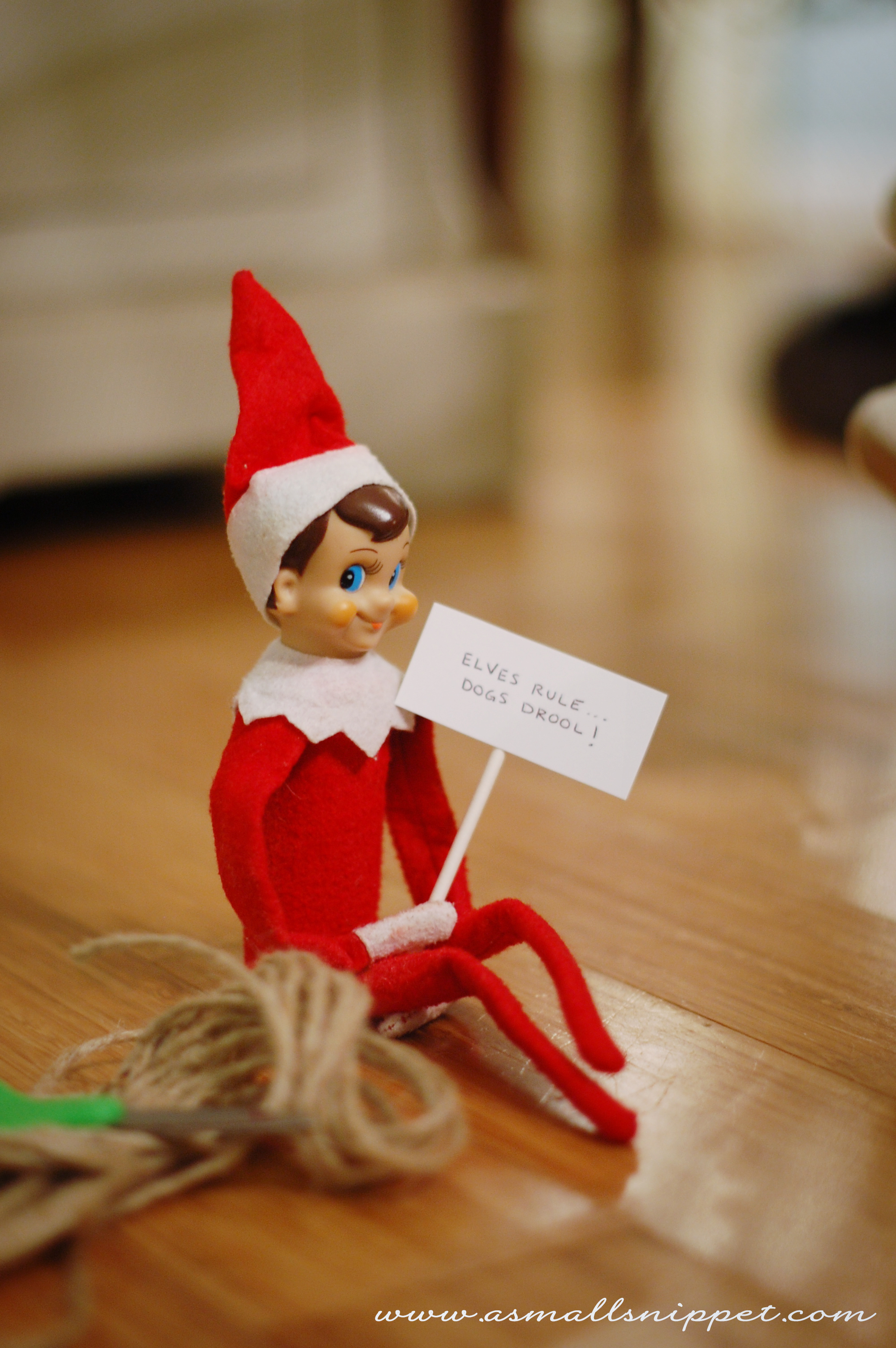 45 Elf on the Shelf Ideas (from the same Elf!) | A Small Snippet